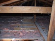 Ceiling with Asbestos.jpg
